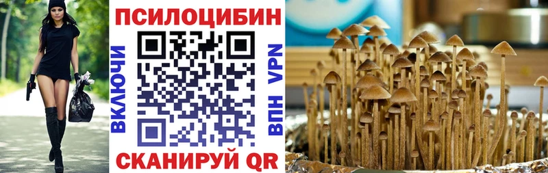 Галлюциногенные грибы Psilocybe  хочу   Мензелинск 